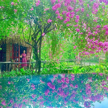Maison Teahouse Homestay Hà Giang Eksteriør billede