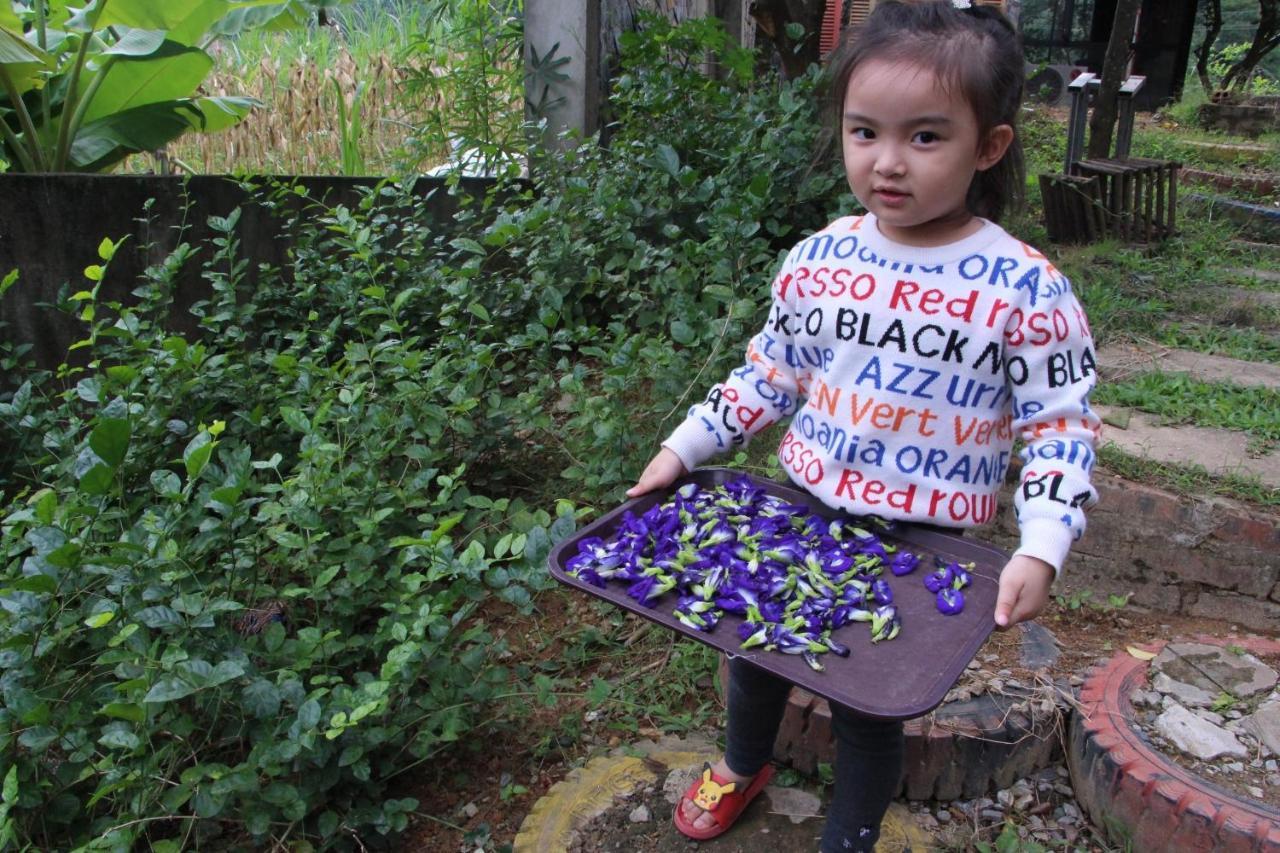 Maison Teahouse Homestay Hà Giang Eksteriør billede