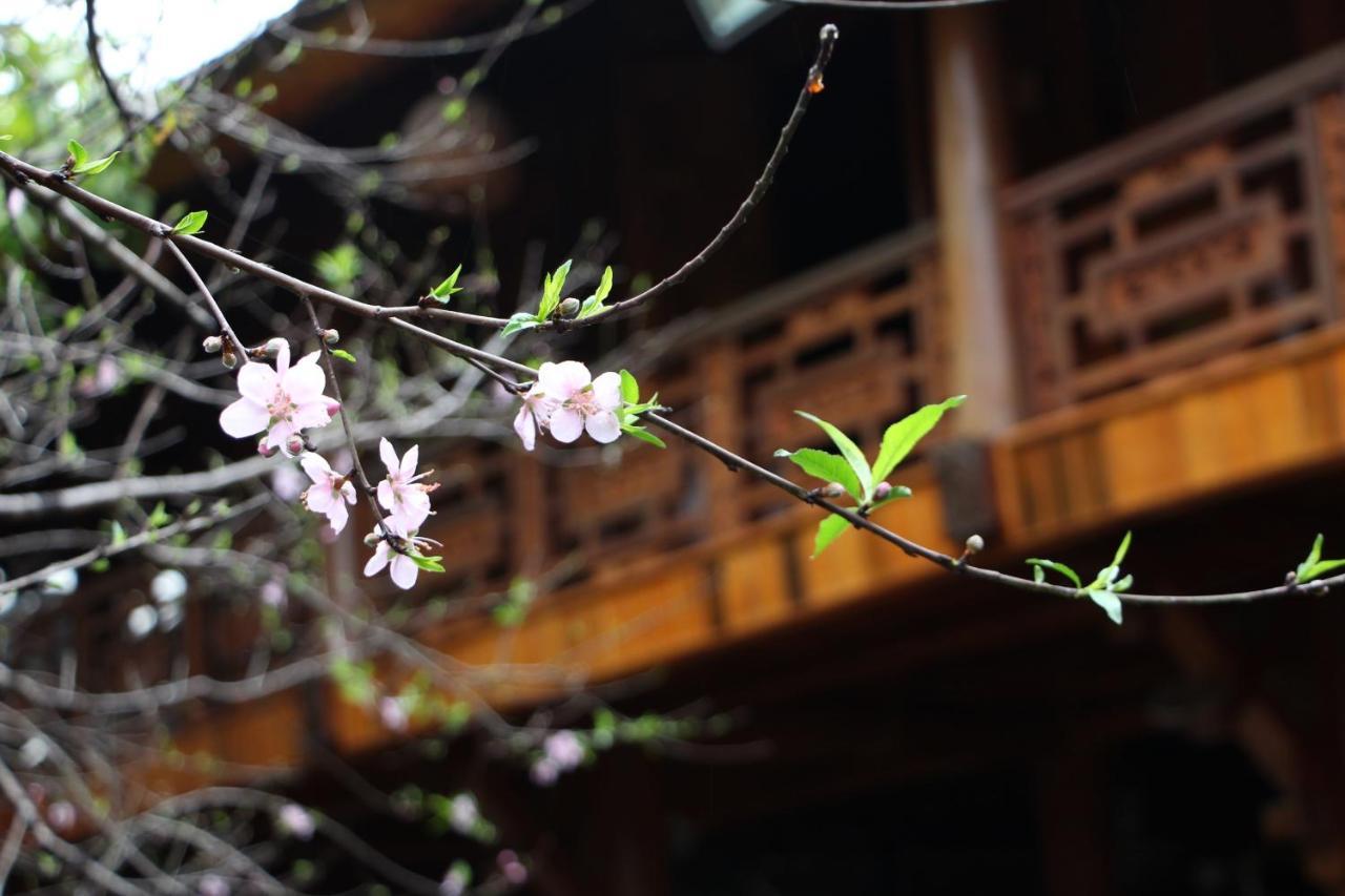 Maison Teahouse Homestay Hà Giang Eksteriør billede