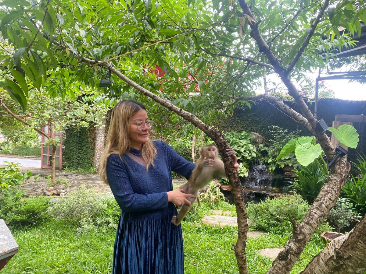 Maison Teahouse Homestay Hà Giang Eksteriør billede