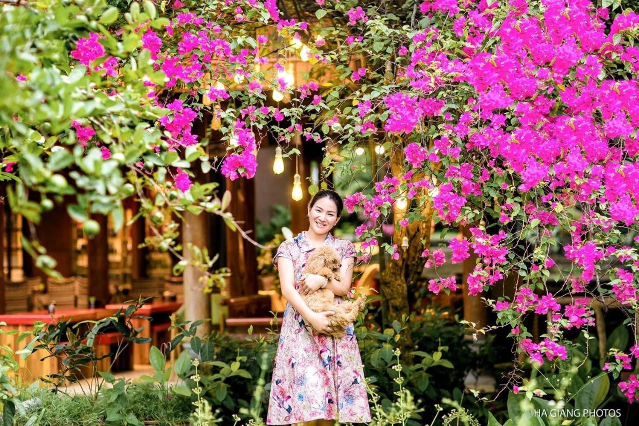 Maison Teahouse Homestay Hà Giang Eksteriør billede