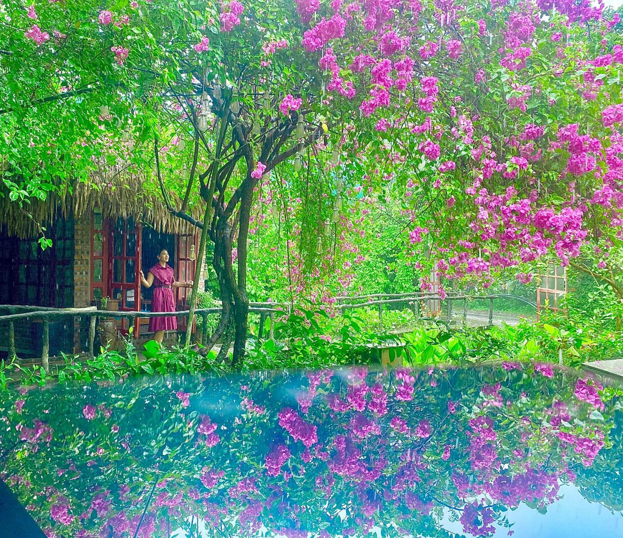 Maison Teahouse Homestay Hà Giang Eksteriør billede